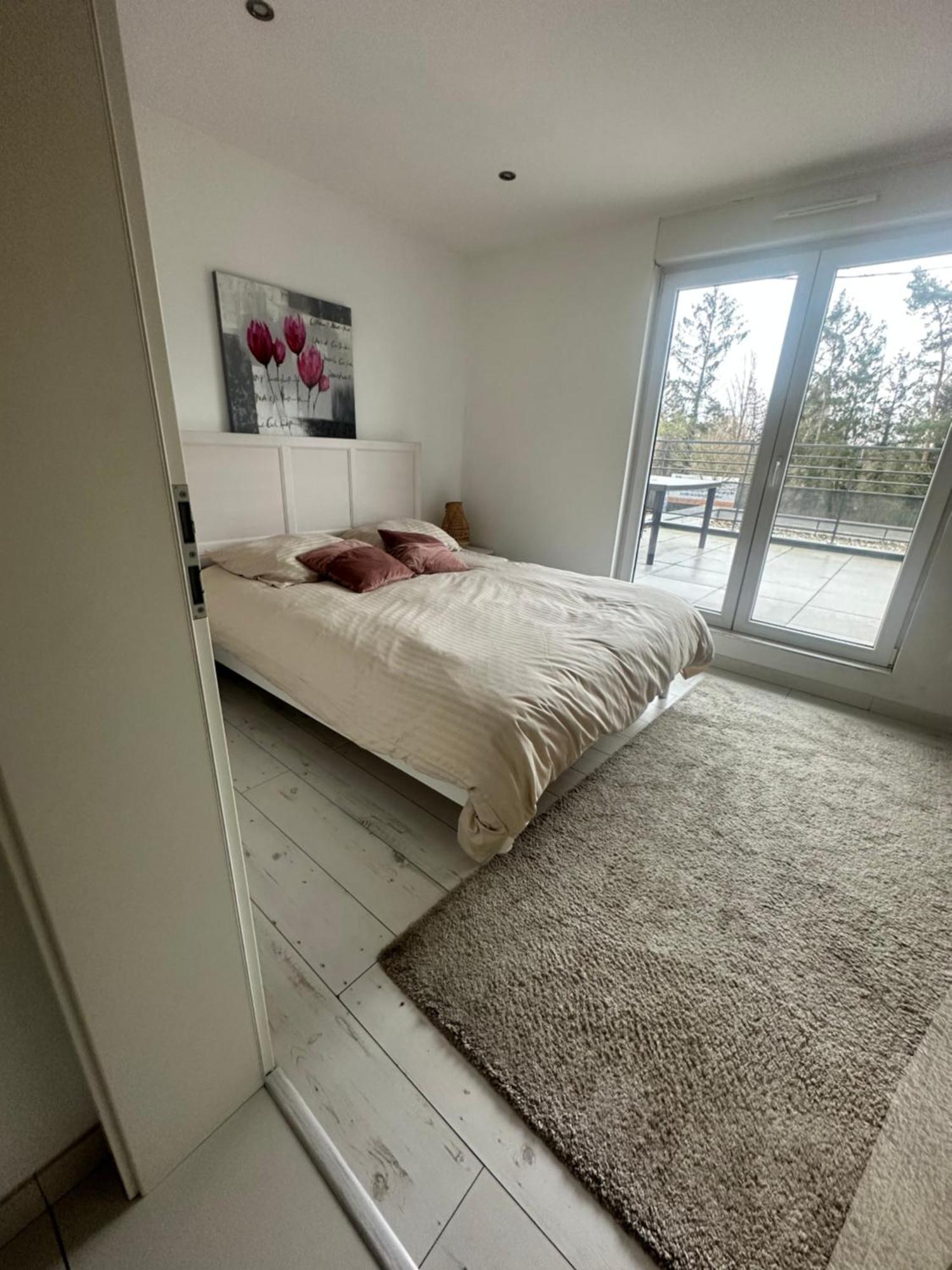 Residence Foch Lingolsheim Eksteriør billede