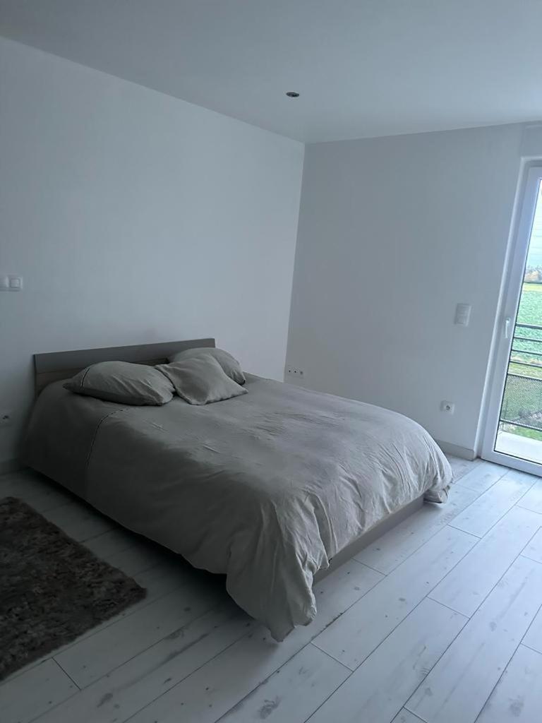 Residence Foch Lingolsheim Eksteriør billede